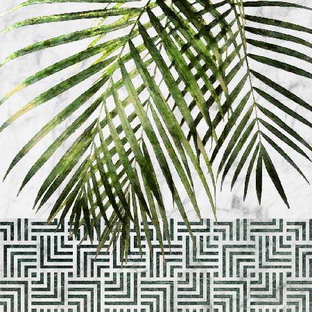 Palmblätter auf Fliesenwand