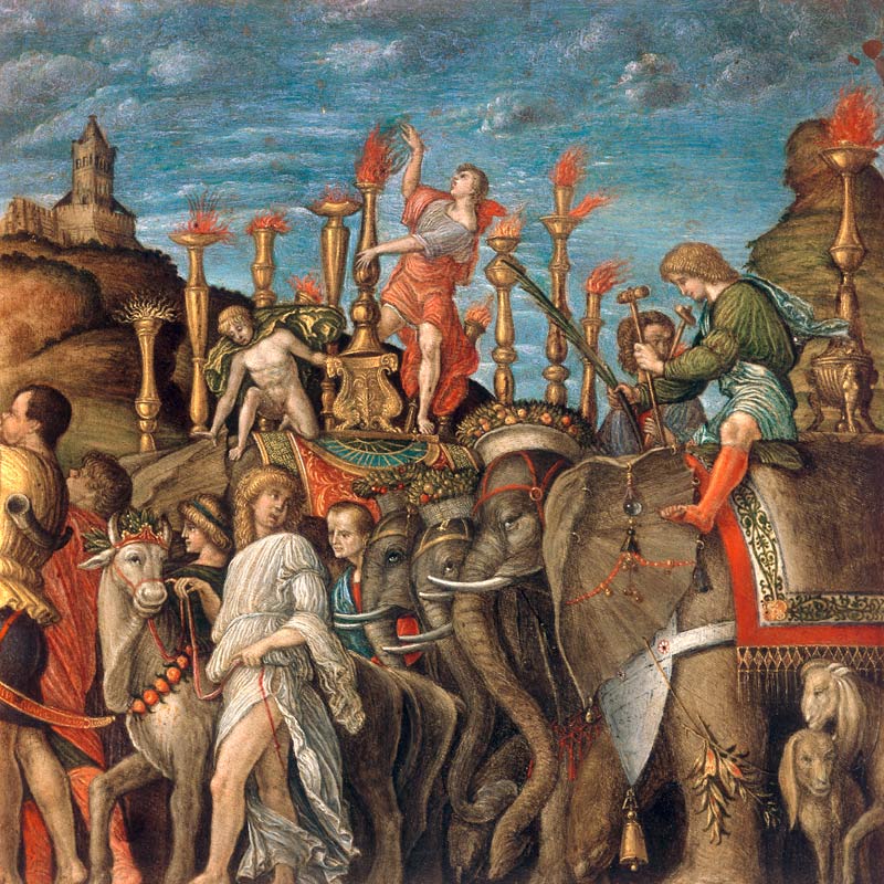 from Mantegna, Triumph of Caesar, eleph. from Andrea Mantegna