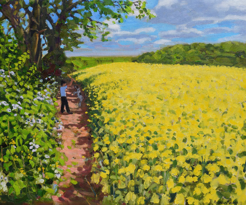 Boy and his dog, Radbourne,Derby from Andrew  Macara