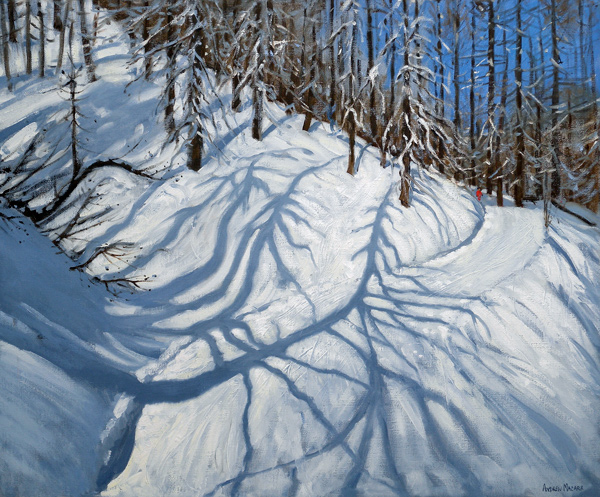 Fir Tree Shadows, Tignes from Andrew  Macara
