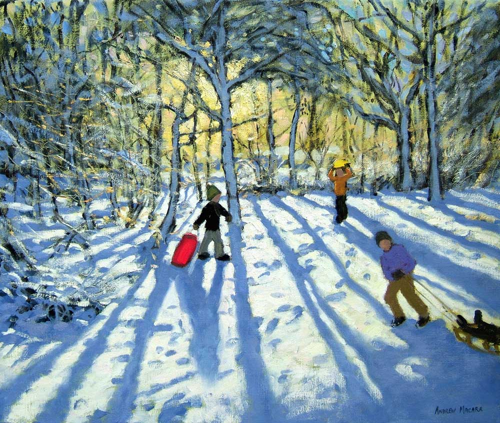 Woodland in winter, near Ashbourne, Derbyshire from Andrew  Macara