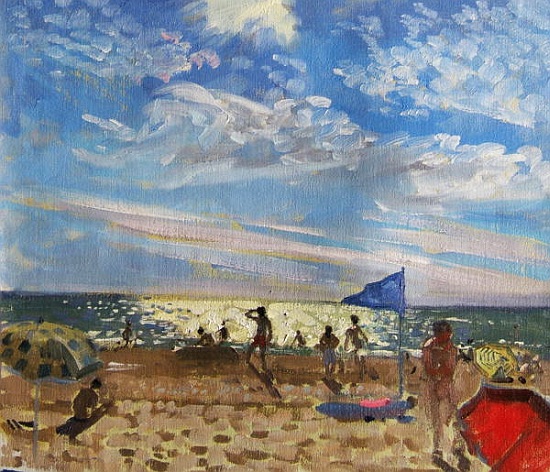 Blue flag and red sun shade, Montalivet from Andrew  Macara