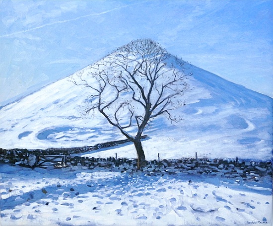 Hill and Tree, Derbyshire from Andrew  Macara