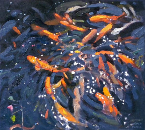 Goldfish from Andrew  Macara