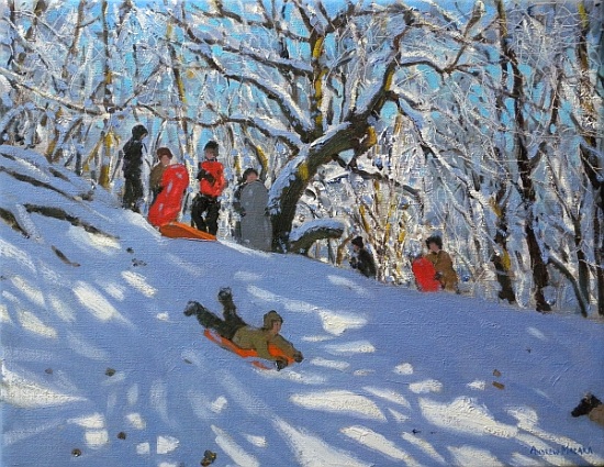 Sledging in Allestree Woods from Andrew  Macara