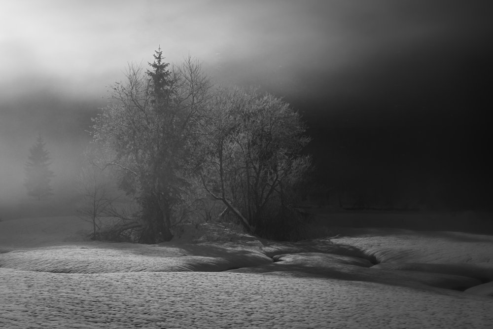 Der Winter malt in Schwarzweiß from Andy Dauer