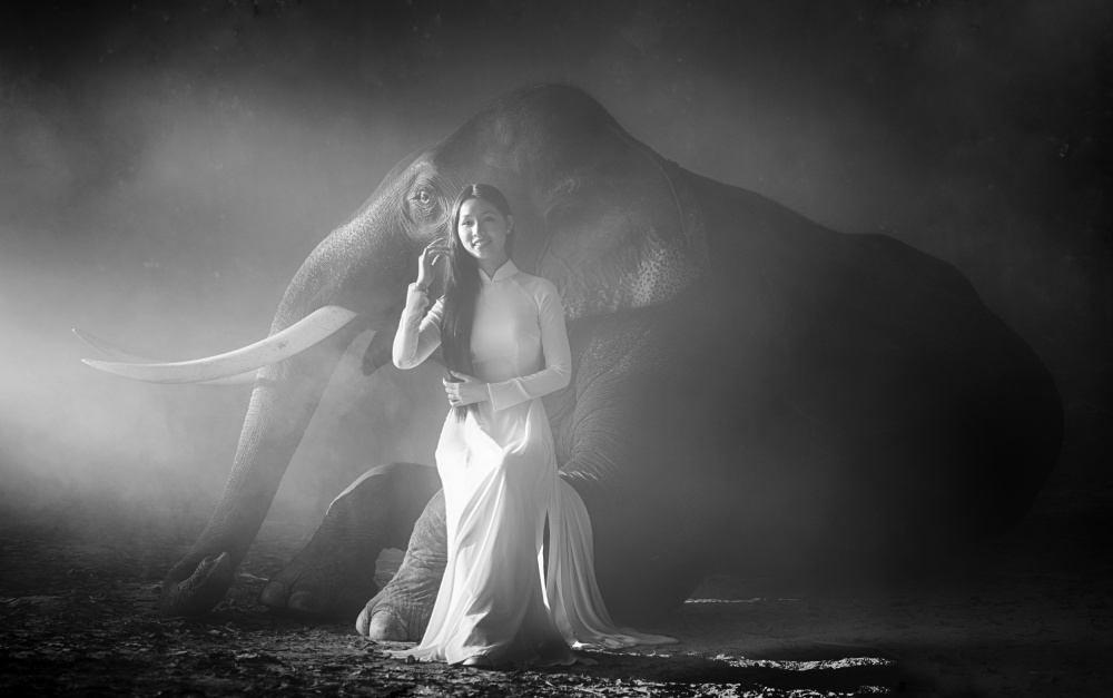 Ein Mädchen und ein Elefant from Angela Muliani Hartojo