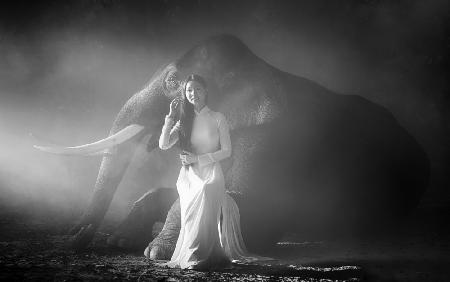 Ein Mädchen und ein Elefant