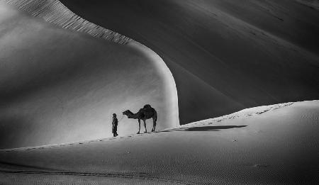 In der Wüste