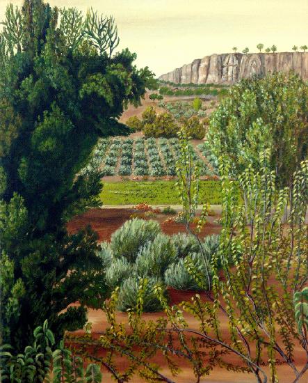 Hochgebirgs-Olivenbäume