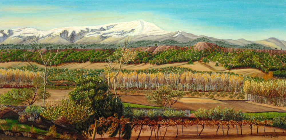 Weinbergtal in der Umgebung der Sierra Nevada from Angeles M. Pomata
