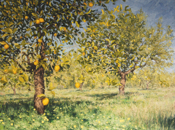 Impossibility of a lemon tree from Angus Hampel