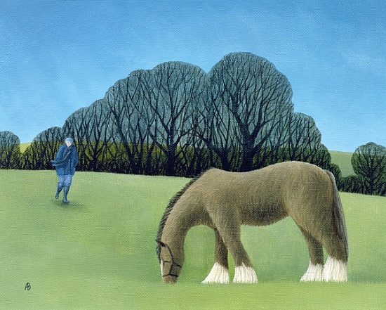 The Shire Horse from Ann  Brain