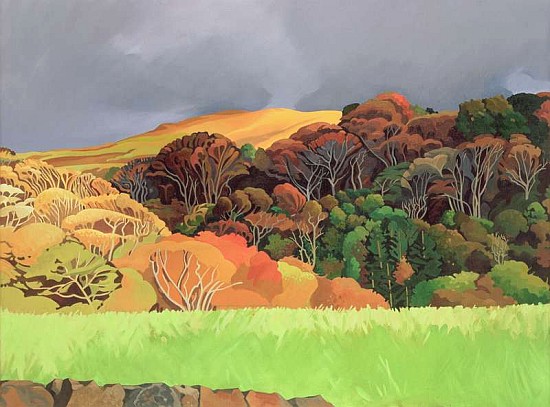 Calgary Woods, Isle of Mull (oil on canvas)  from Anna  Teasdale