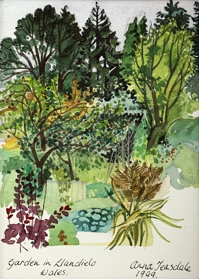 Garden in LLandielo from Anna  Teasdale