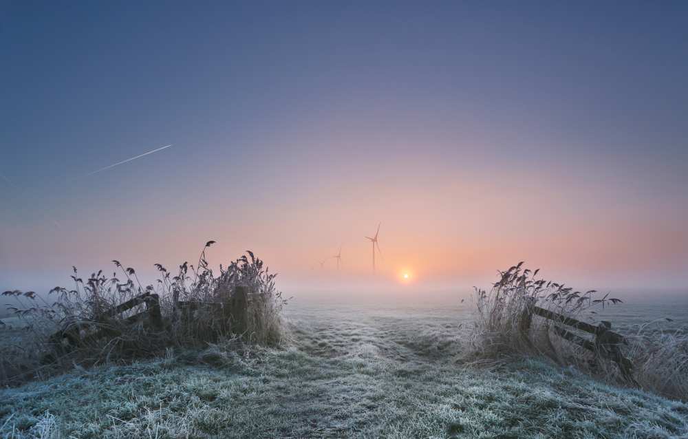 Frosty Morning from Anna Zuidema