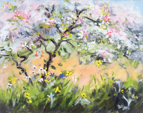 Spring Blossom (oil on canvas)  from Anne  Durham
