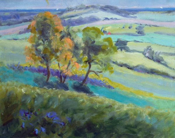Towards Winchelsea, Sussex, with Bluebells in Spring (oil on canvas)  from Anne  Durham