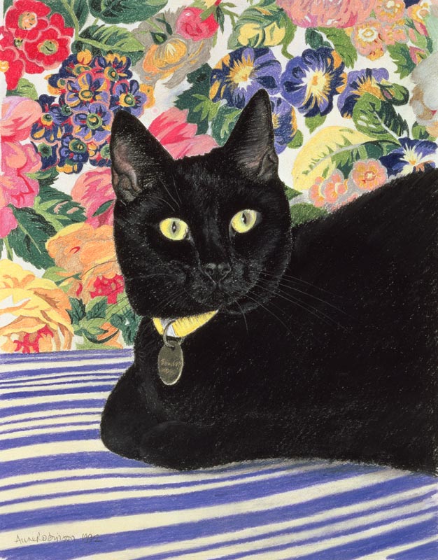 Black Cat (pastel on paper)  from Anne  Robinson