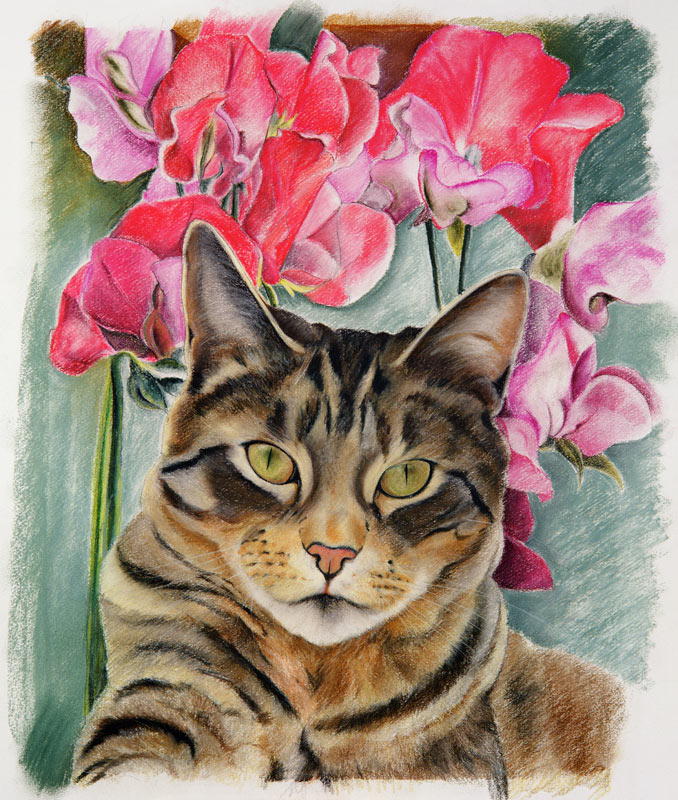Cat with sweet peas from Anne  Robinson