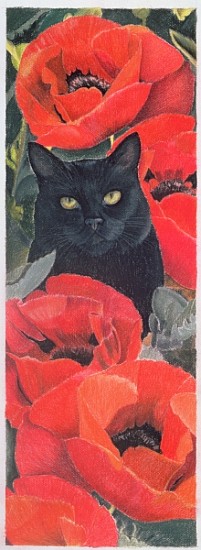 Black Cat with Poppies (pastel on paper)  from Anne  Robinson