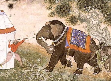52.43 An enraged elephant, Mughal from Anonymous