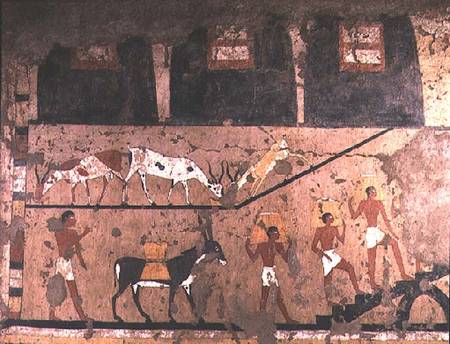 Agricultural scene, wall painting removed from the Mastaba of Ti at Sakkara, Old Kingdom from Anonymous