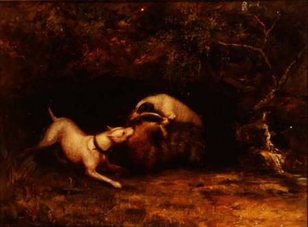 Dogs Baiting a Badger from Anonymous