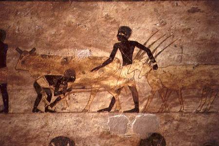 Procession with cattle and gazelles, detail from a tomb wall painting,Egyptian from Anonymous