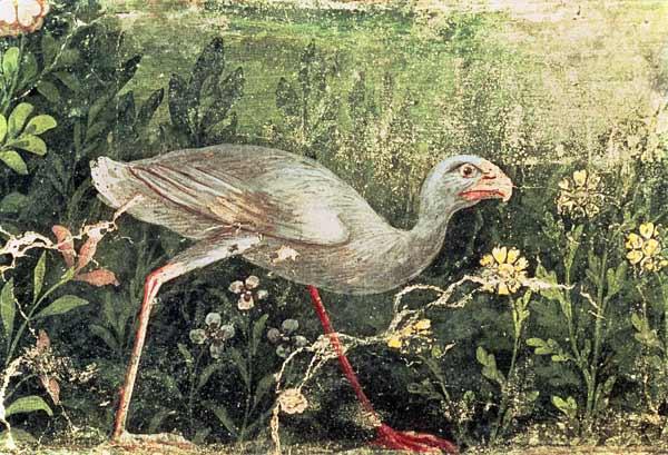 Wall painting of a Sultan chicken in a gardenPompeii