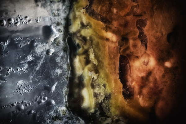 Other Worlds No 4 - Patterns in Old Food from Ant Smith