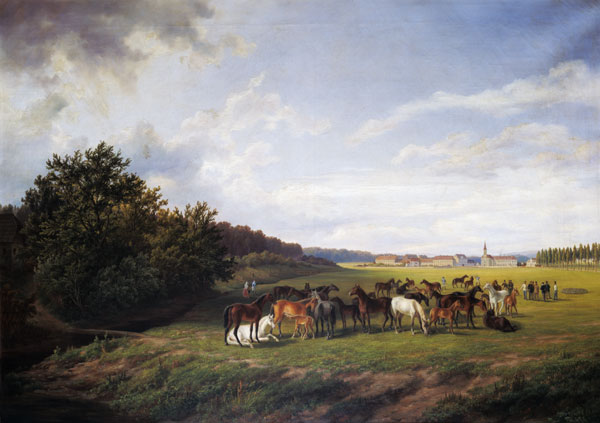 View of the Kladrub Studfarm in Bohemia from Anton Schiffer