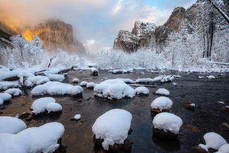 Neuschnee im Yosemite