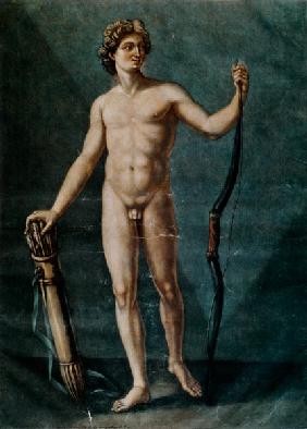 Apollo, the ideal anatomy