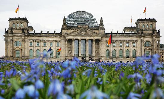 Blumenwiese vor Reichstag from Arno Burgi