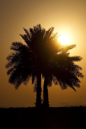 Katar - Sonnenaufgang in Doha from Arno Burgi