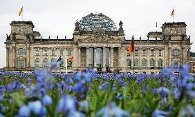 Blumenwiese vor Reichstag