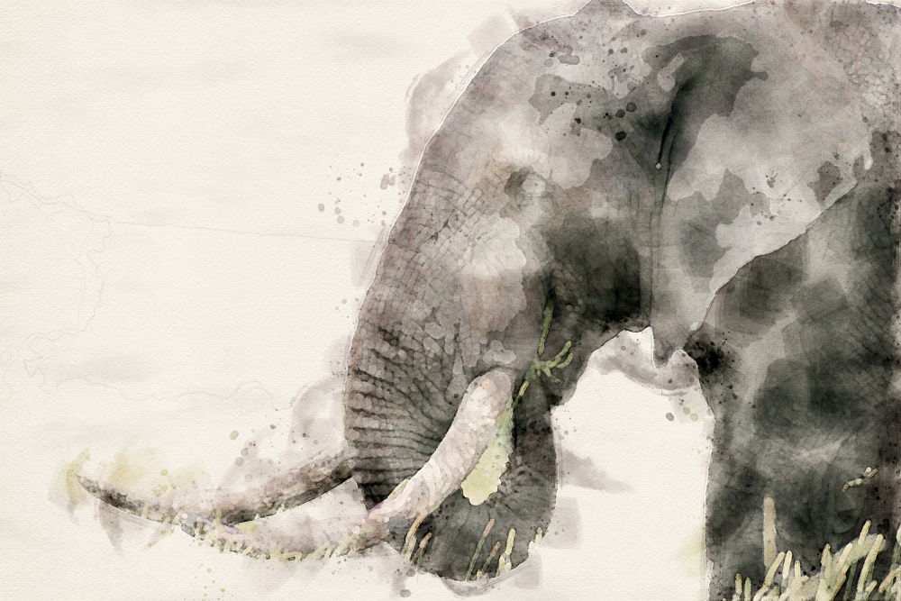 Abstrakte afrikanische Elefanten-Aquarellkunst from Arno Du Toit