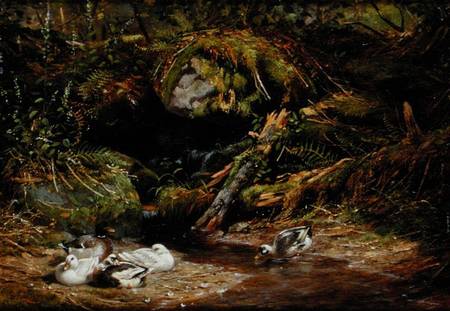 Ducks at the Spring Head from Arthur Fitzwilliam Tait