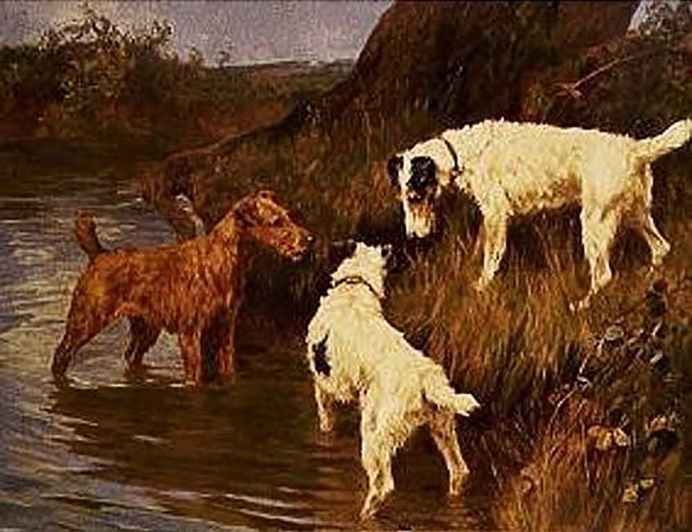 Drei Terrier an einer Uferböschung from Arthur Wardle