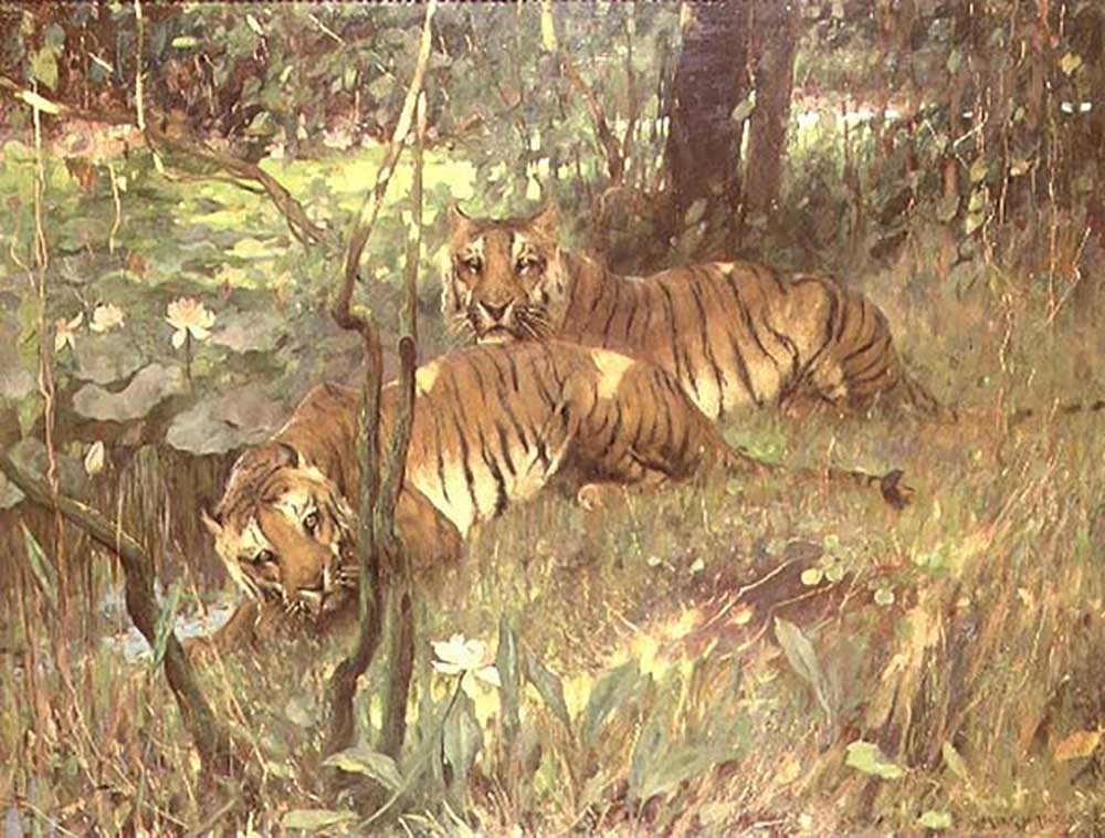 Tiger, die im tropischen Wald durch einen Fluss stillstehen from Arthur Wardle