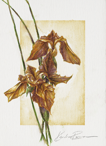Golden Irises from ArtLifting ArtLifting