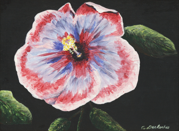Hibiscus by Ann DesRoches from ArtLifting ArtLifting