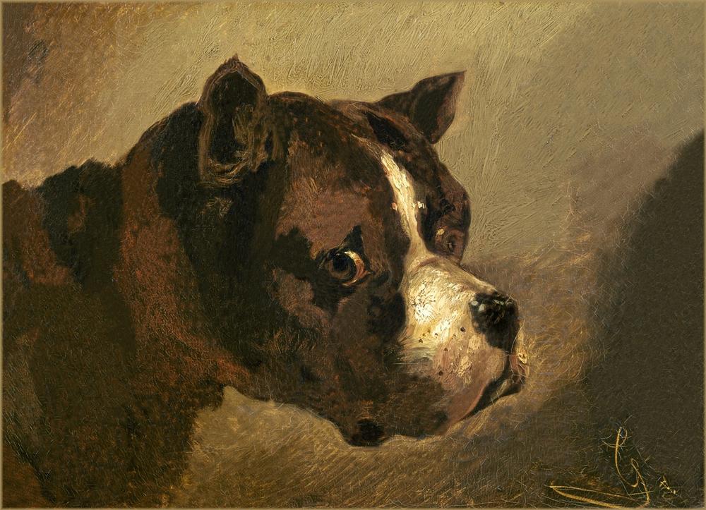 Head of a Bulldog from (attr. to) Theodore Gericault