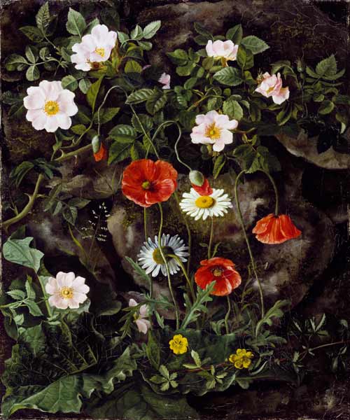 Wildrosen, Mohnblumen und Gänseblümchen an einer Steinbank. from Augusta Laessoe