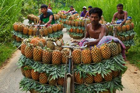 Ananasverkäufer
