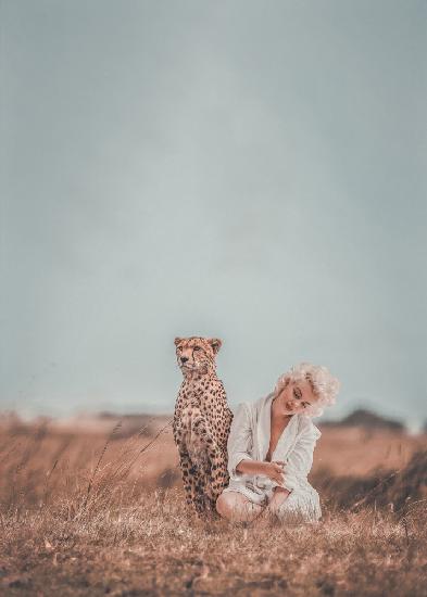 Marilyn und der Gepard