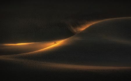 Donnerschlag der Wüste