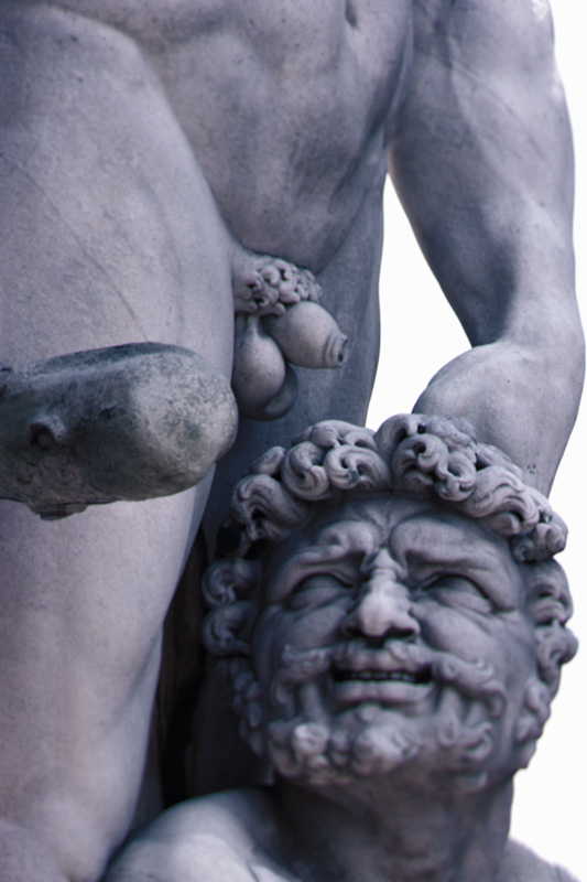 Detail from the Statue of Hercules and Cacus from Baccio Bandinelli