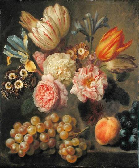 Flower Study from Balthasar Denner